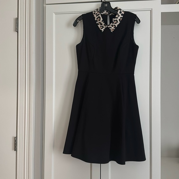 kate spade Dresses & Skirts - Kate Spade dress with leopard collar size 8